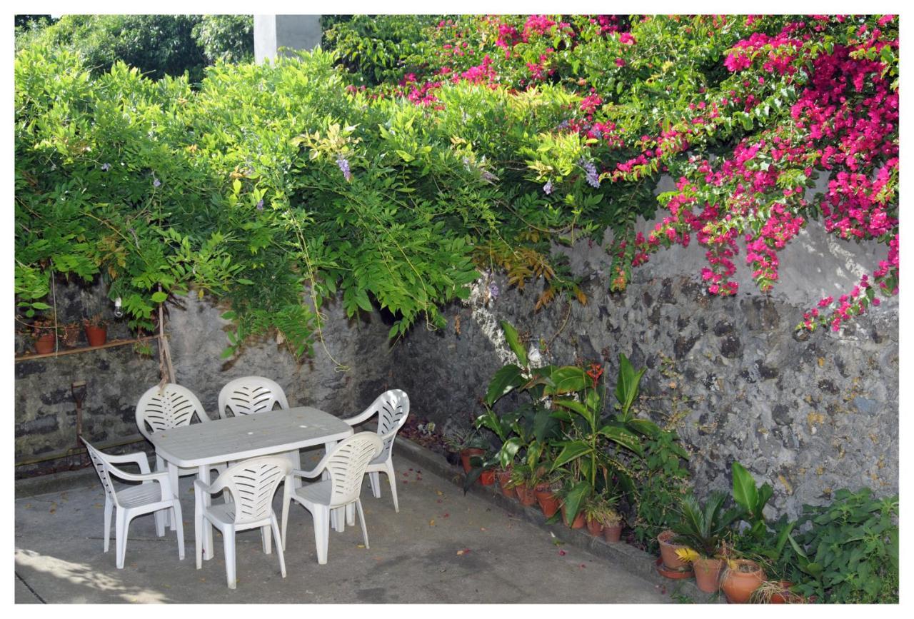 Casa Com Quinta Tradicional Pico da Pedra Exterior photo
